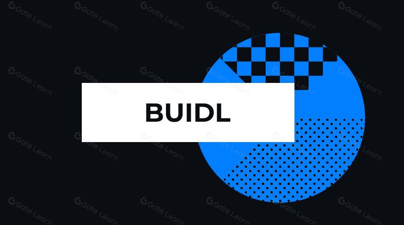 一文读懂贝莱德代币化基金实验 BUIDL：模式、现状与难点