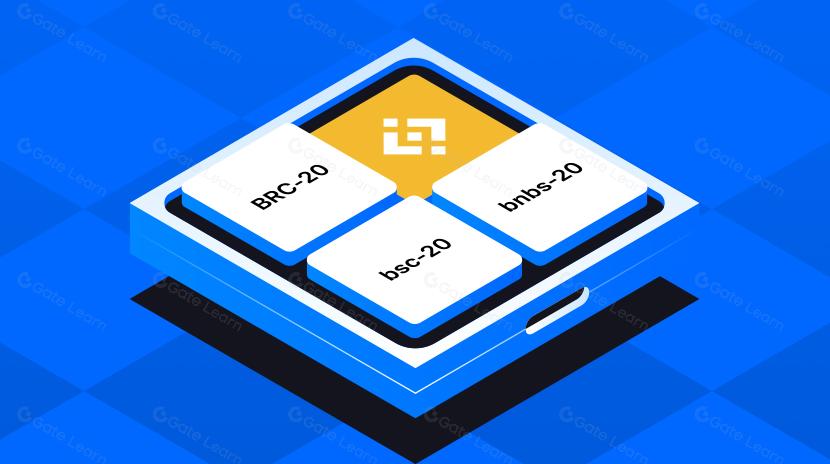 一文了解什么是BSC Chain上的铭文？（BRC-20，bsc-20，bnbs-20）