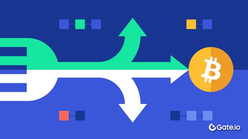 ما هي الشوكة؟