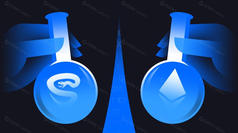  Essential Security Checks for Developers Before the Cancun Upgrade