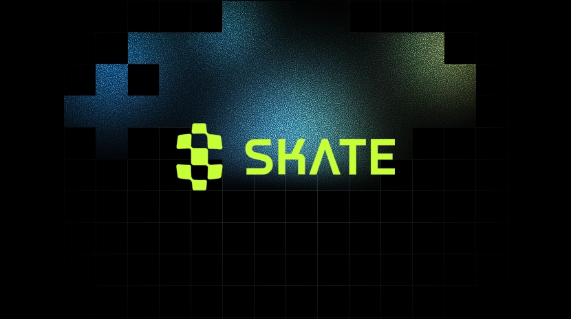 一文讀懂 Skatechain