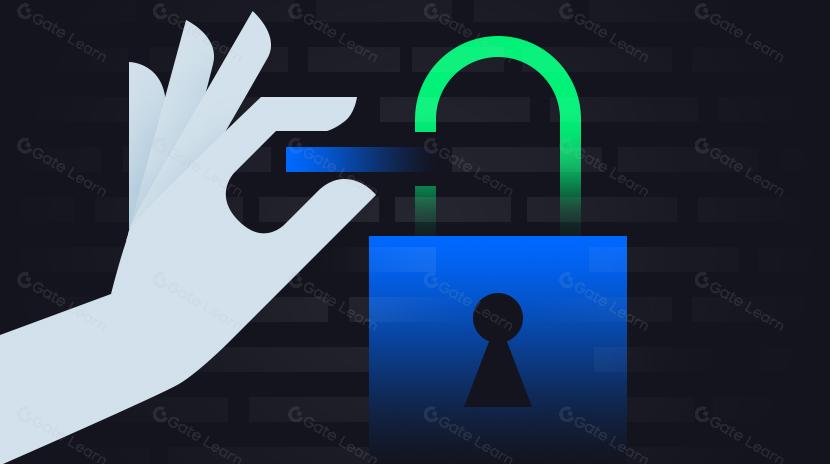 What is Metadata Privacy and Why is it Important?