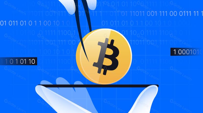 Understanding the Industry Landscape: From Asset Issuance Protocols to Layer 2, and On to the Application Layer Races