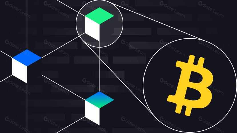 一览风投机构纷纷入局的 BTC 相关公链生态