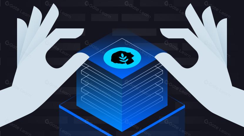 With Imminent Cancun Upgrade, How does Metis Make Layer 2 Truly “Decentralized”?