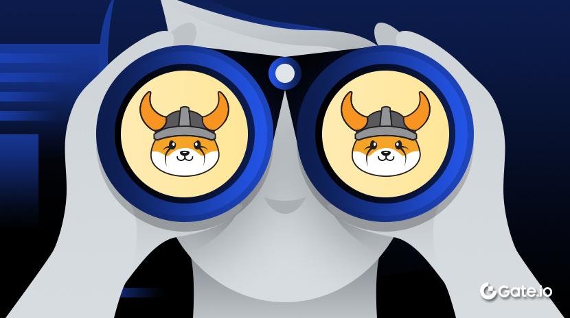 What is Floki (FLOKI)? All You Need to Know About FLOKI