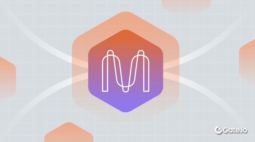 What Is Mina? All You Need to Know About MINA