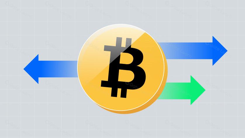 比特幣硬分叉歷史:既是分裂,也是生長