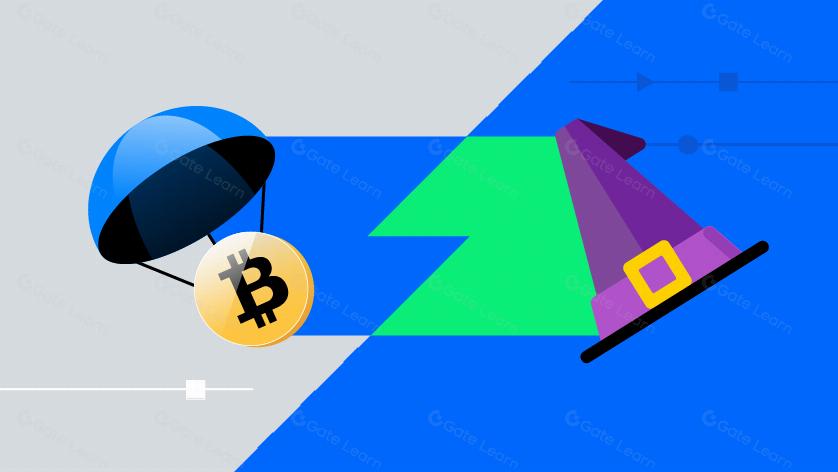 空投簡史與反女巫策略：論擼毛文化的傳統與未來