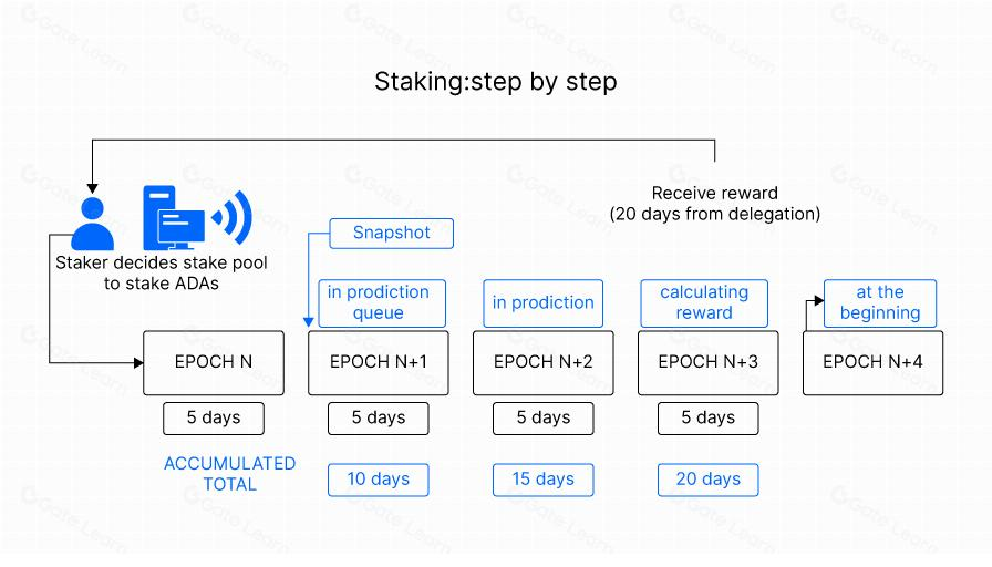 Core Components: The Epoch and Slot Time Structure