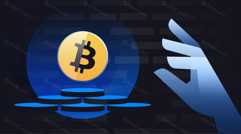 导致比特币再次爆发的新技术发展总结