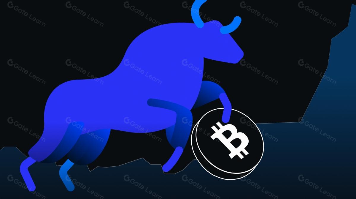 Macroeconomic Tailwinds Fuel Bitcoin’s Bull Run