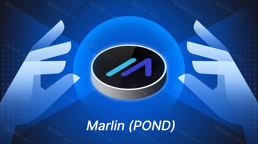 Qu'est-ce que Marlin ? Tout ce que vous devez savoir sur POND