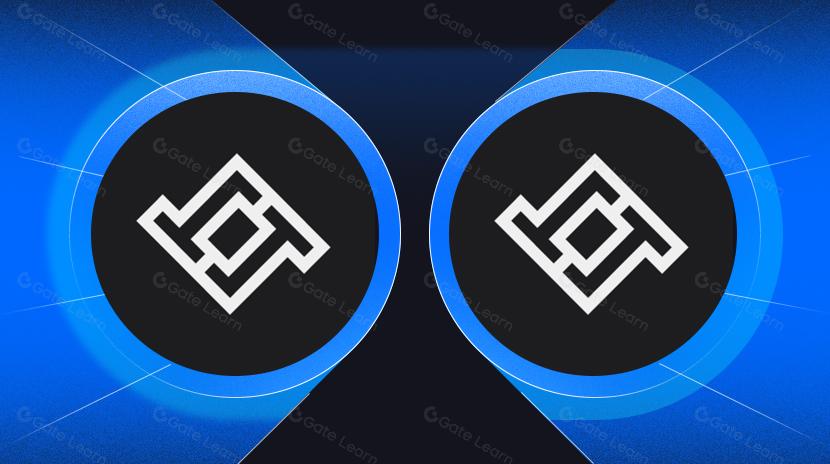 什麼是Lossless?關於LSS你需要知道的一切