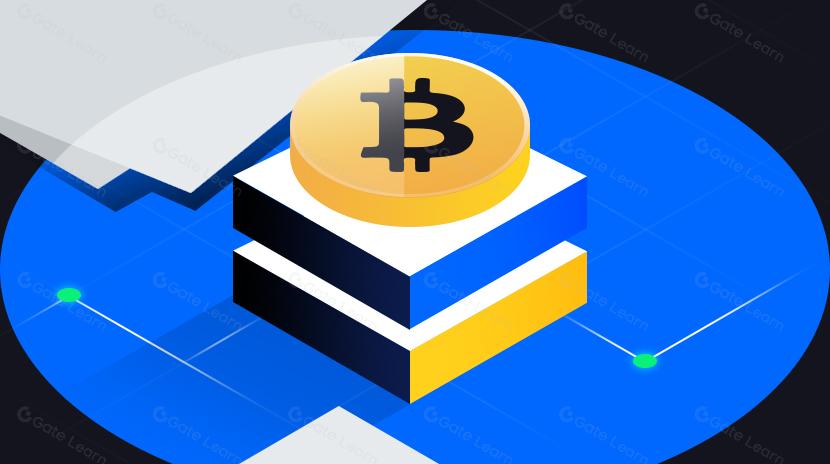 BTC Layer 2 Protocol Research