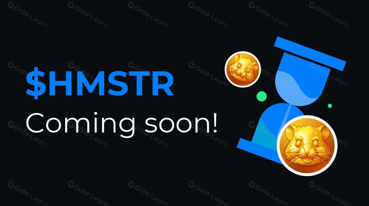 史上最大空投项目？一文盘点$HMSTR 