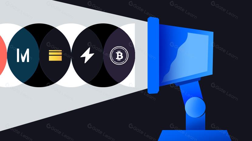 Top Bitcoin DeFi Projects