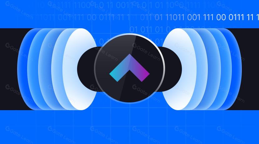 What is LTO Network? All You Need to Know About LTO