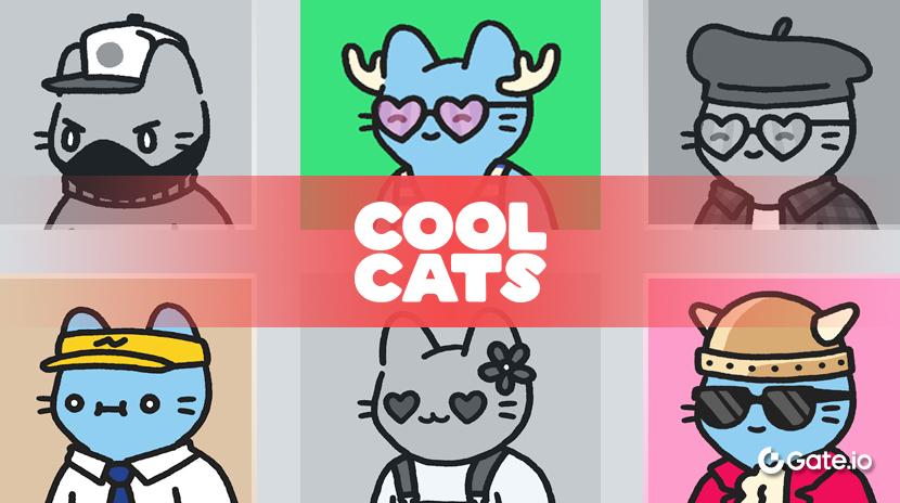 什么是 Cool Cats？