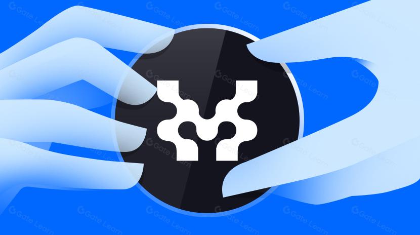 Movement 的公链新解，「将 Move 引入 EVM」能否重塑以太坊与 Move？