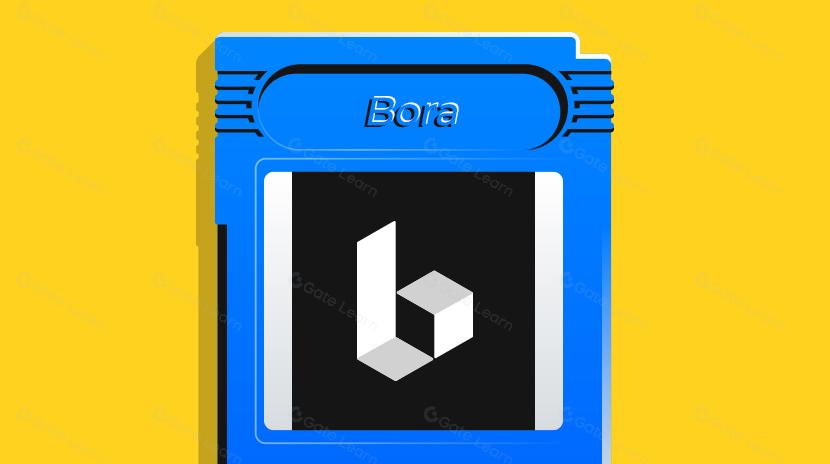 All You Need to Know About Bora: Gaming and Entertainment Content Provider