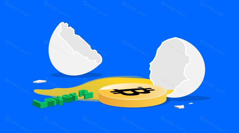 Bitcoin Layer 2 Chaos is Actually a Good Thing