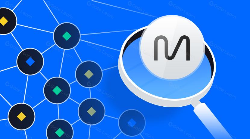 什麼是 DIMO 2025？關於 DIMO 的所有必知信息