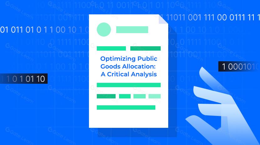 Optimizing Public Goods Allocation: A Critical Analysis