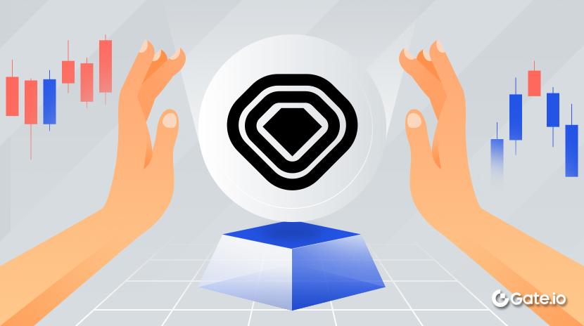 What is VVS Finance? All You Need to Know About VVS