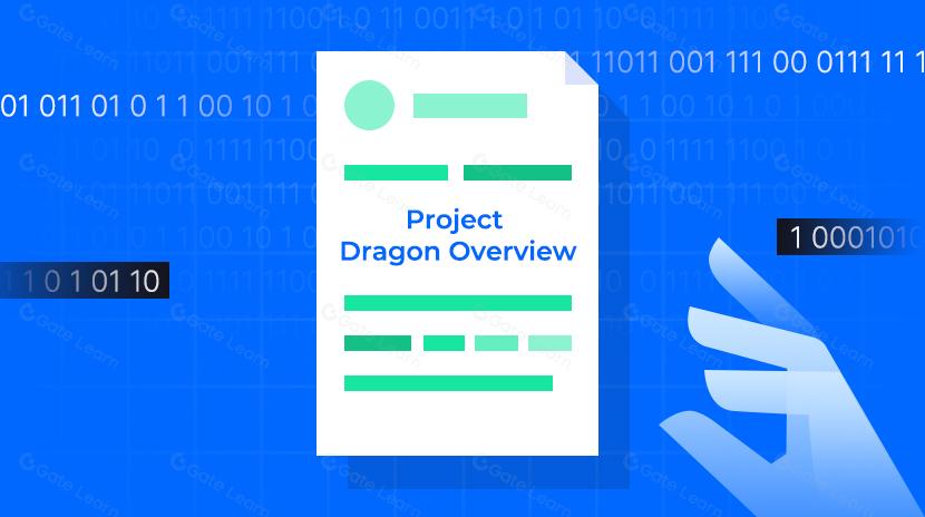 一文读懂 Project Dragon