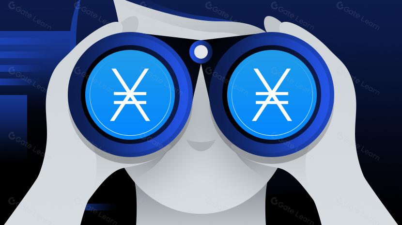 What is Nano? All You Need to Know About XNO