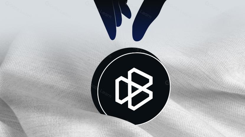 Balance là gì? Tất cả những gì bạn cần biết về EPT