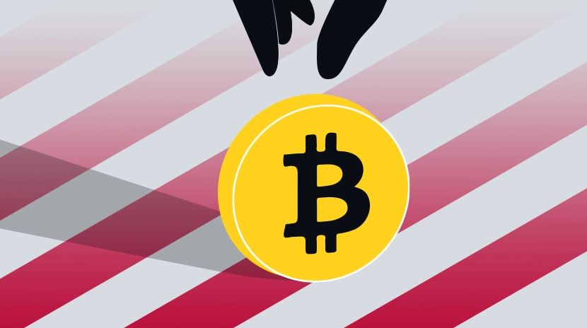 不支持比特币战略储备的原因