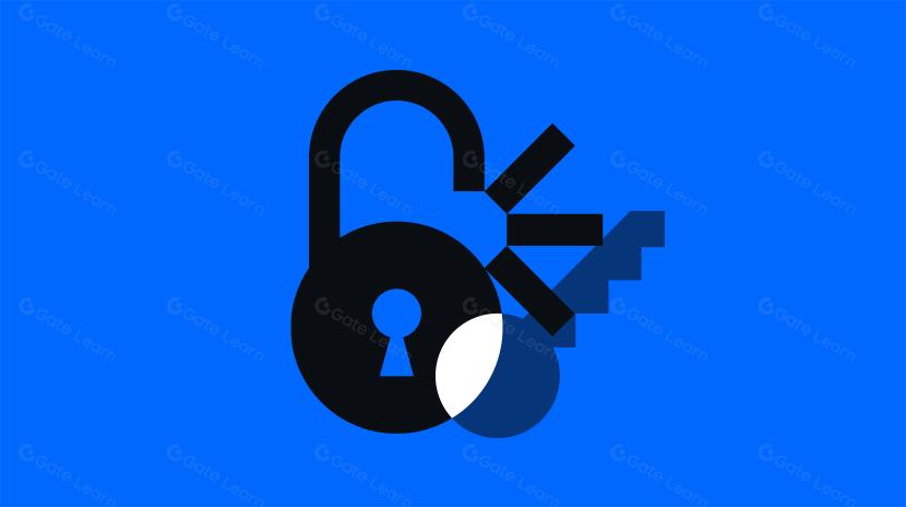 عملة: دليل شامل لديناميات فتح العملة