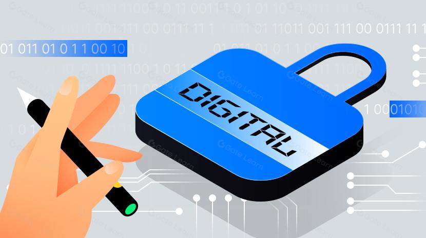 What is Digital Ownership? (2025 Update) 