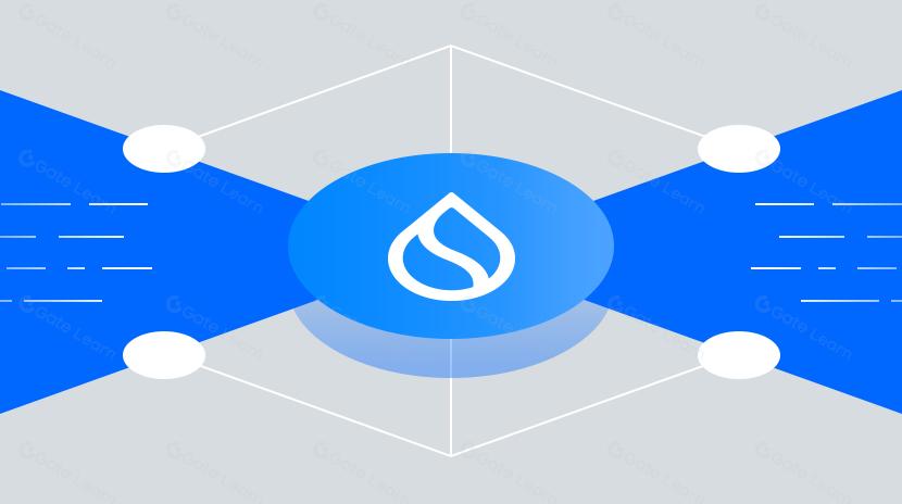 Sui：L1的新興生態和創新模式