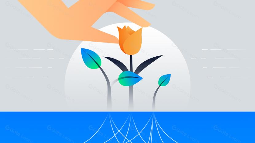 详解区块链中的布隆过滤器