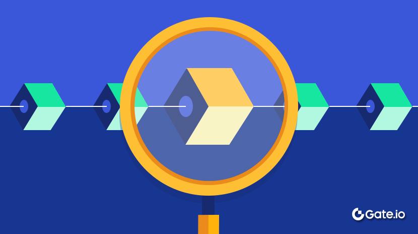 What Is a Blockchain Explorer?