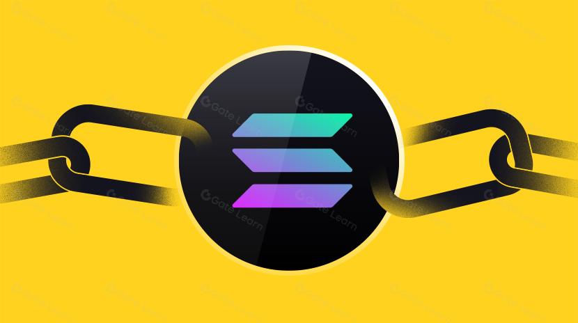 Solana 需要 L2 和 Appchains 吗？