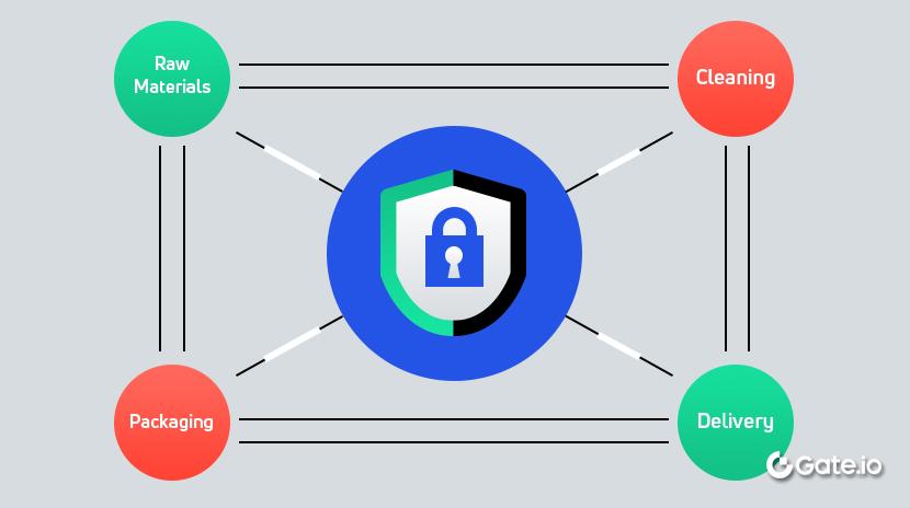 Blockchain Use Cases: Supply Chain Management