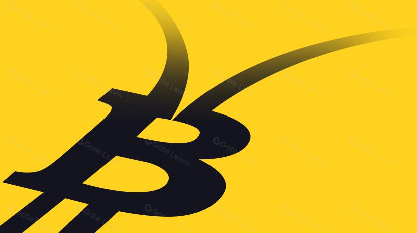 Great Script Recovery: Bitcoin’s Journey Forward