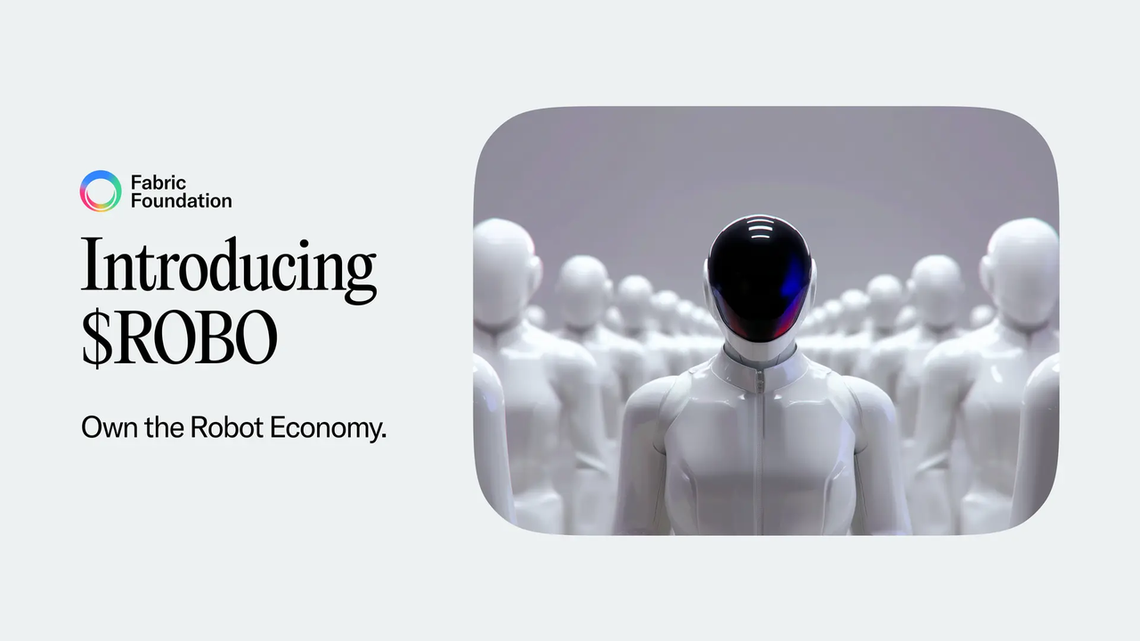 ROBO 代币在网络中的功能定位 ROBO 代币在网络中的功能定位