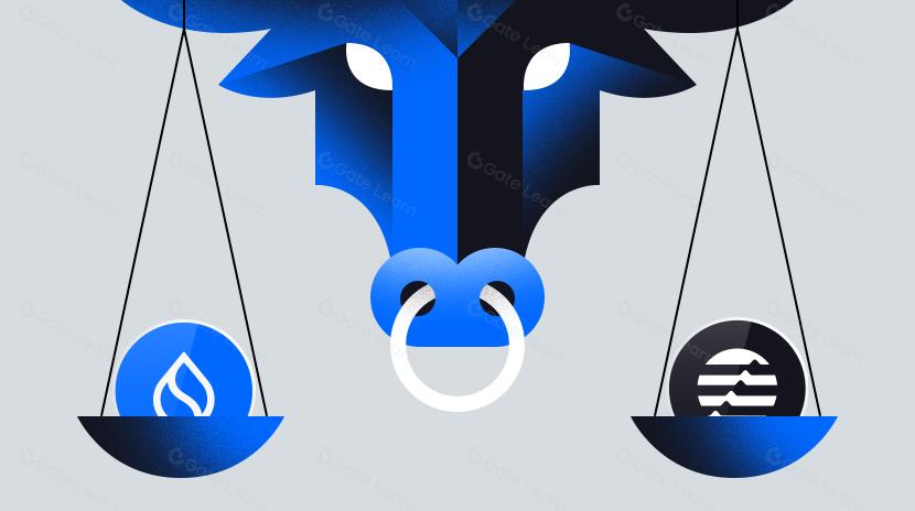 Move Twins: Cách Sui và Aptos đang Thách thức Blockchain