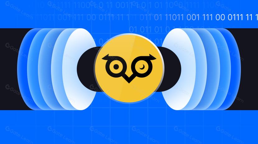 Worum geht es bei Owlto Finance?