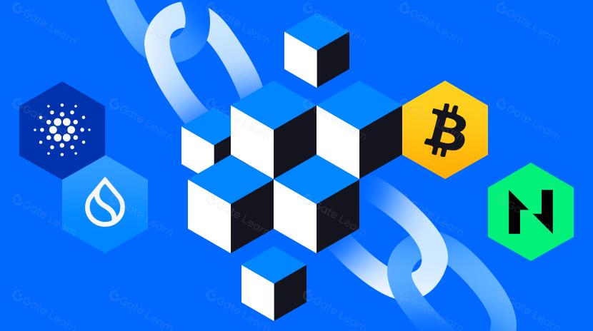 Dari BTC ke Sui, ADA, dan Nervos: Model dan Ekstensi UTXO