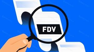FDV là gì trong tiền điện tử?