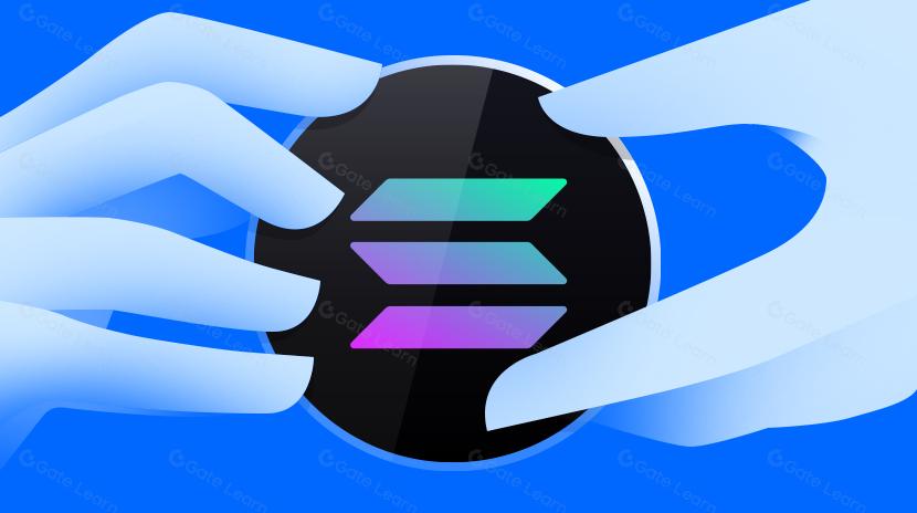 Solana’s Economic Ecosystem: A Comprehensive Analysis