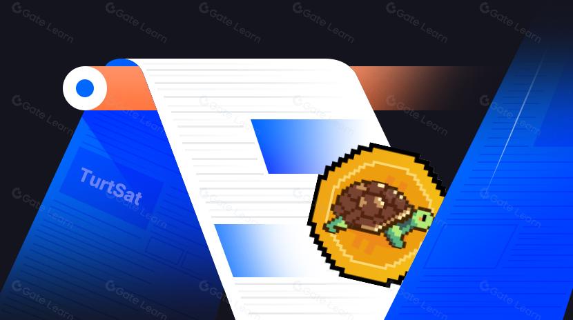  TurtSat:$MUBIを10倍に増やした「BRC-20実験」、通常のエコシステムに焦点を当てたIDOプラットフォームはどこまで進むことができますか?