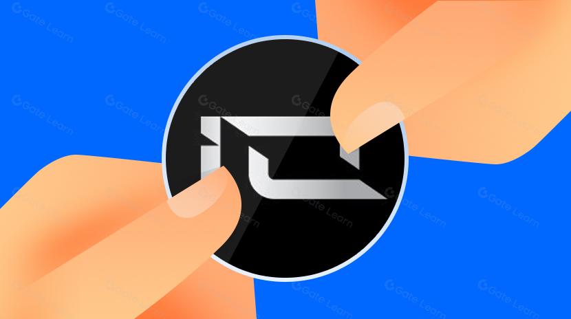 IO.NET （IO） 研究報告