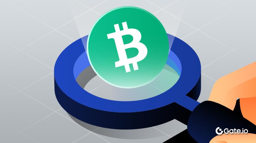 What is Bitcoin Cash? (BCH)